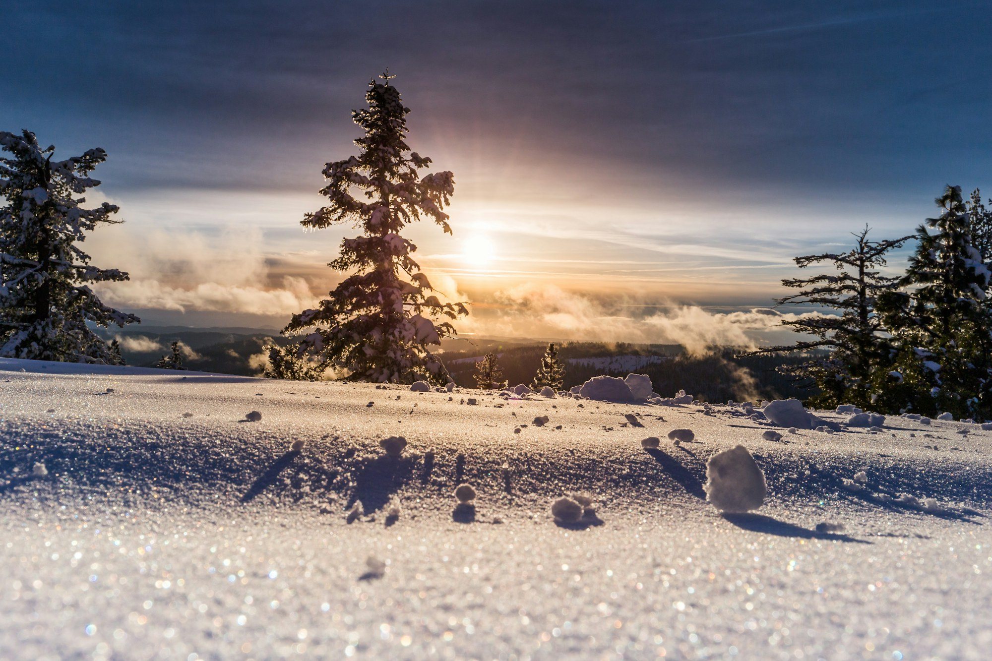Winter forest conditions crews train and rent for