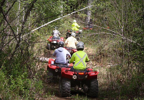 Forestry & reclamation Training image